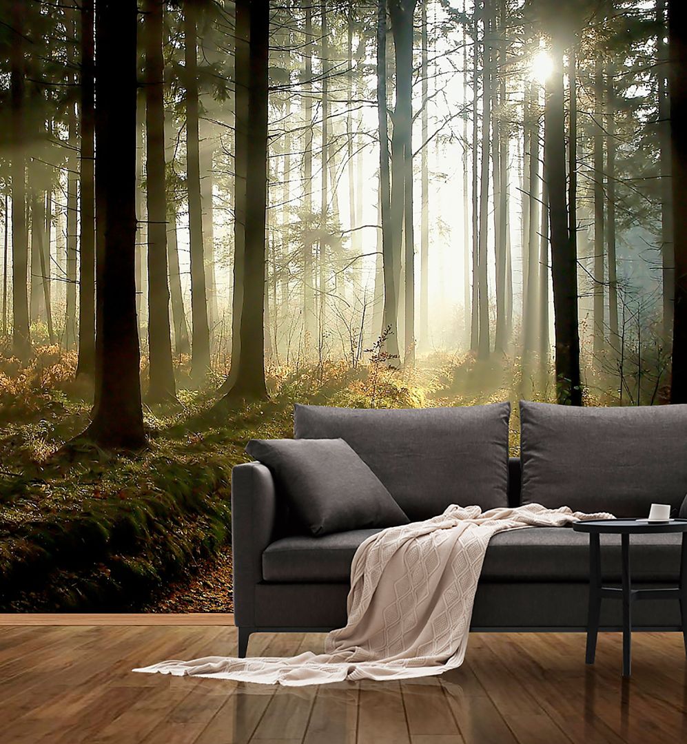 Фототапет Борова гора в мъгла